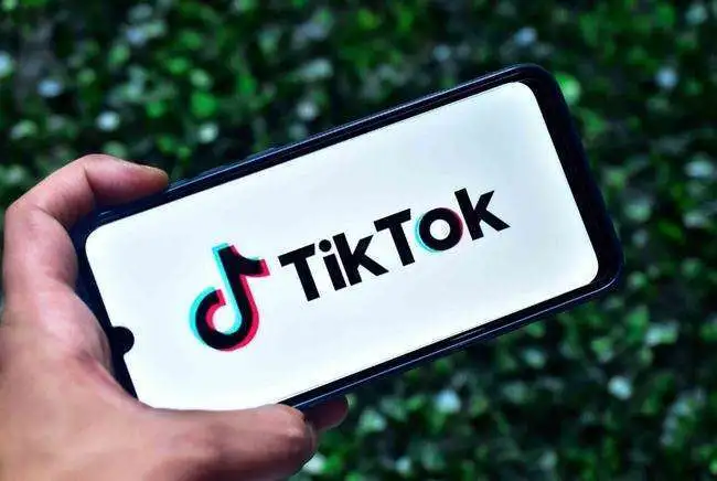 至少144亿 TikTok全球营收目标削减